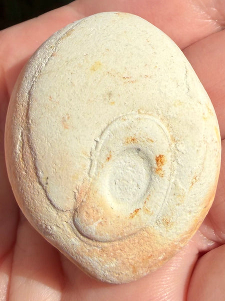 Fairy Stone - Morganna’s Treasures
