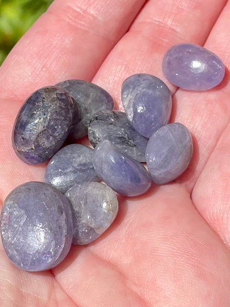 Tanzanite Tumbled Stones - Morganna’s Treasures