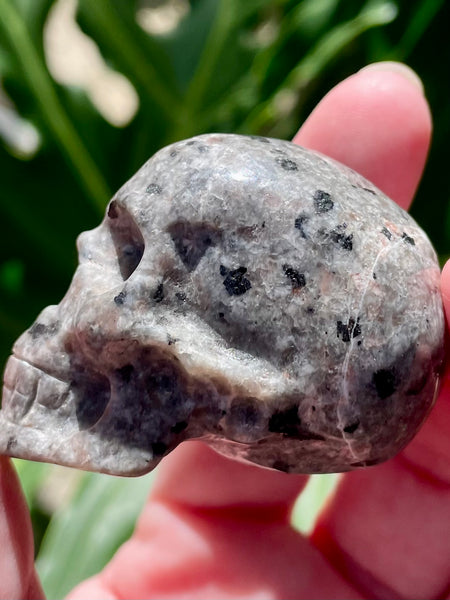 Carved Yooperlite (Fluorescent Sodalite)  Skull - Morganna’s Treasures 