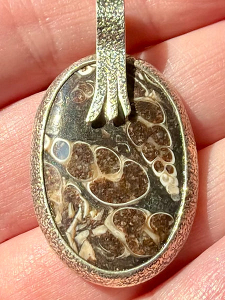 Turritella Agate Pendant - Morganna’s Treasures