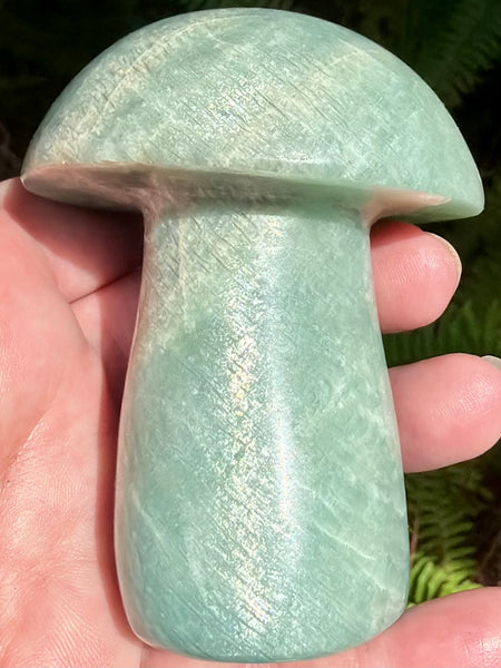 Stunning Amazonite Mushroom - Morganna’s Treasures