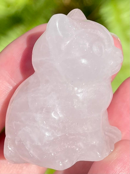 Rose Quartz Carved Cat - Morganna’s Treasures 