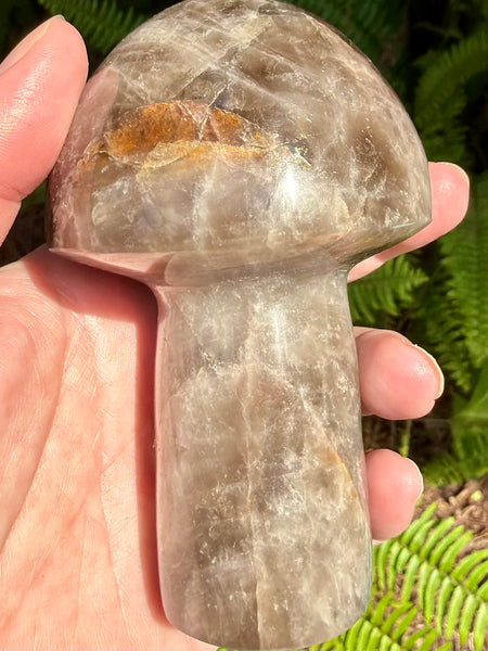 Gorgeous Smoky Quartz Mushroom - Morganna’s Treasures