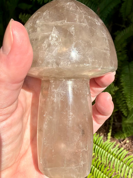 Gorgeous Smoky Quartz Mushroom - Morganna’s Treasures