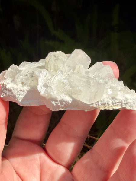 Apophyllite with Stilbite Crystal Cluster - Morganna’s Treasures