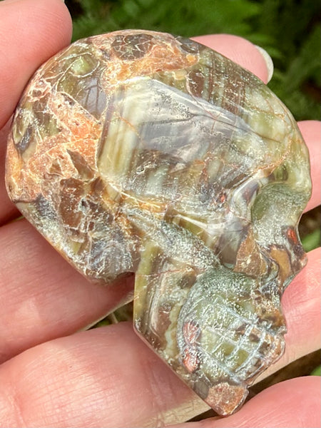 Money Agate Skull
