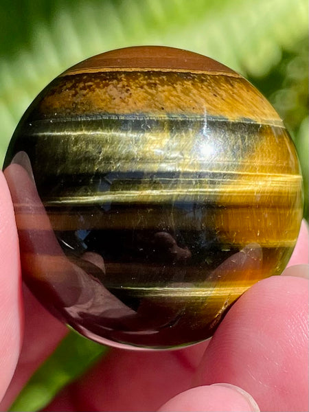 Tigers Eye Sphere - Morganna’s Treasures 