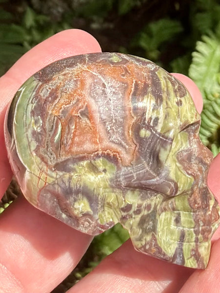 Money Agate Skull - Morganna’s Treasures