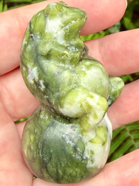 Serpentine Frog