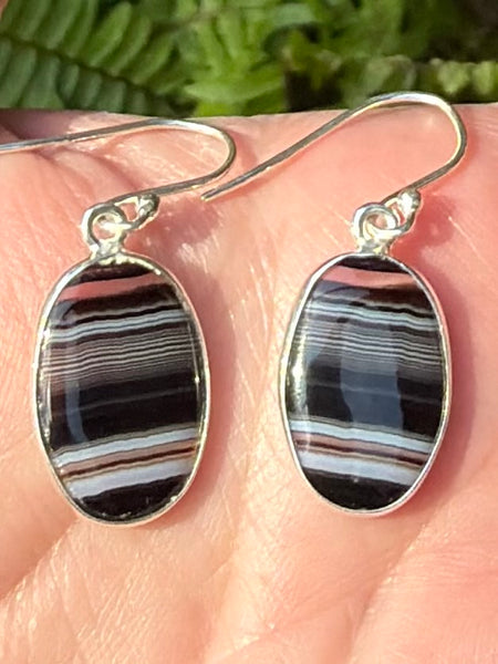 Botswana Agate Earrings - Morganna’s Treasures