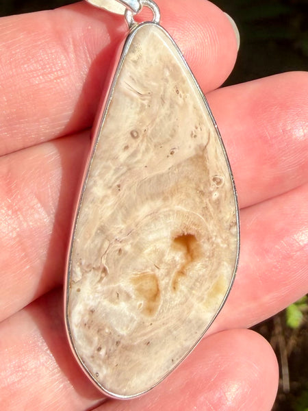 Petrified Wood Slice Pendant