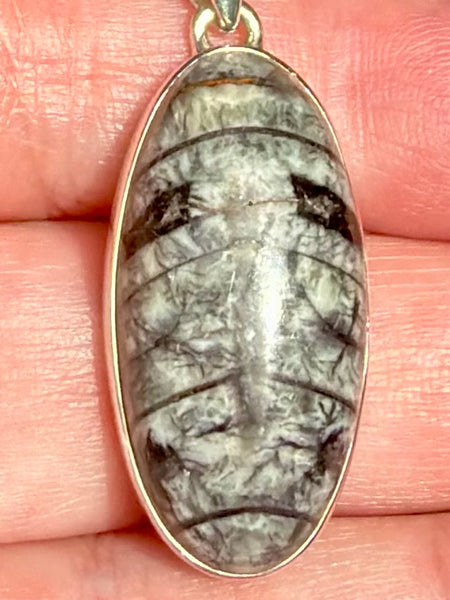 Gorgeous Orthoceras Fossil Pendant - Morganna’s Treasures