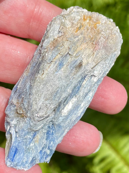 Rough Blue Kyanite - Morganna’s Treasures 