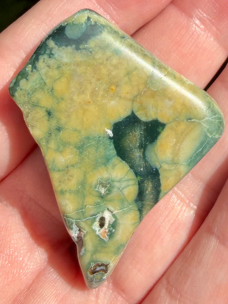 Rainforest Jasper Palm Stone - Morganna’s Treasures
