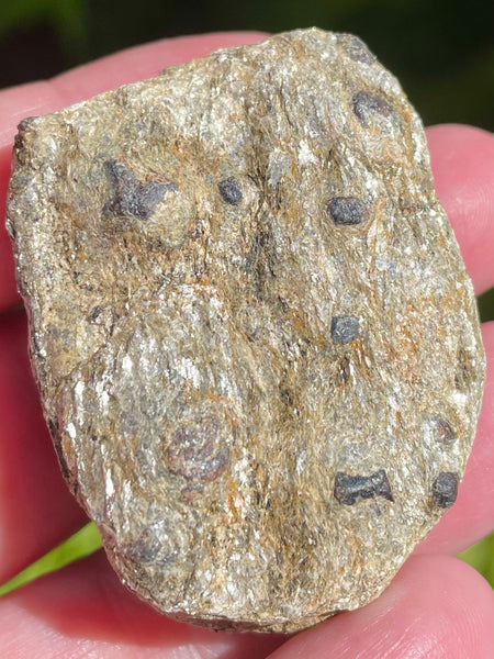 Beautiful Garnet with Mica Schist Palm Stone - Morganna’s Treasures