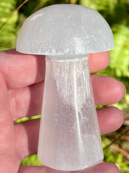 Selenite Mushroom