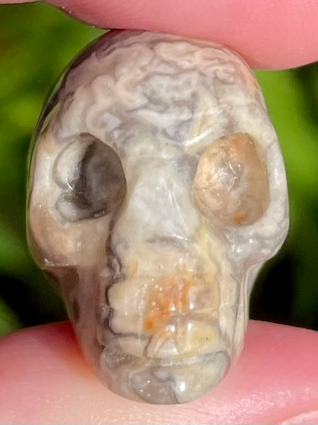 Small Crazy Lace Agate Skull - Morganna’s Treasures 