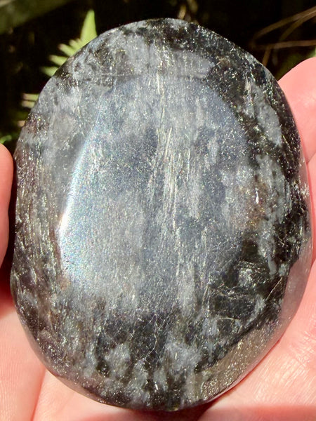 Large Astrophyllite Palm Stone