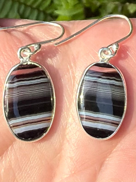 Botswana Agate Earrings - Morganna’s Treasures