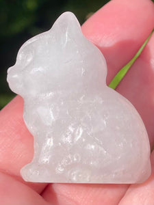 Clear Quartz Carved Cat - Morganna’s Treasures 