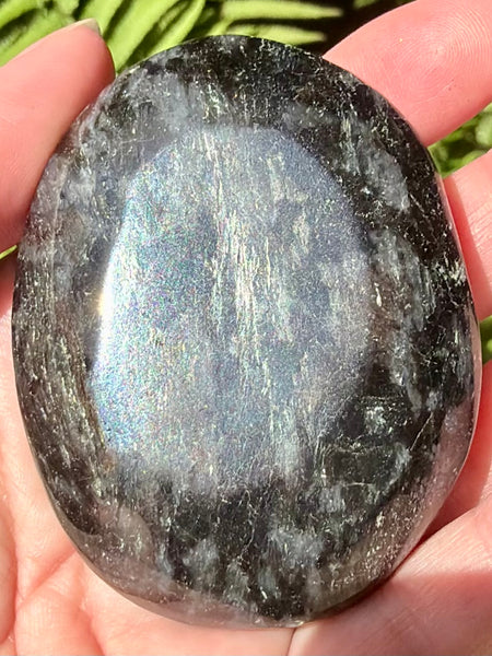 Large Astrophyllite Palm Stone