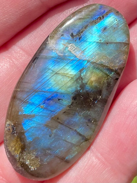 Labradorite Palm Stone - Morganna’s Treasures