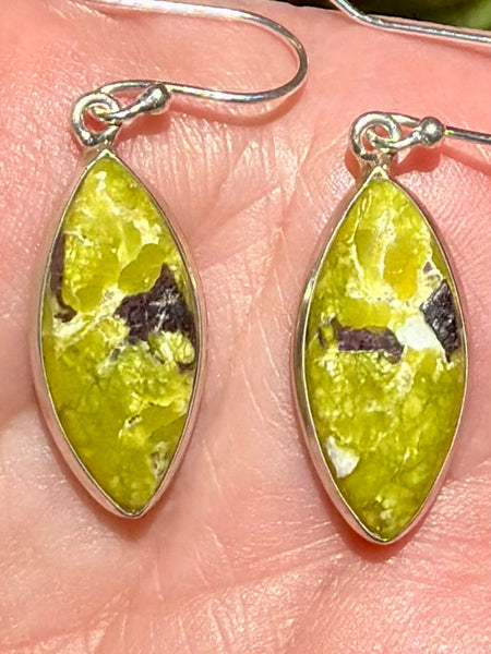 Lizardite Earrings - Morganna’s Treasures