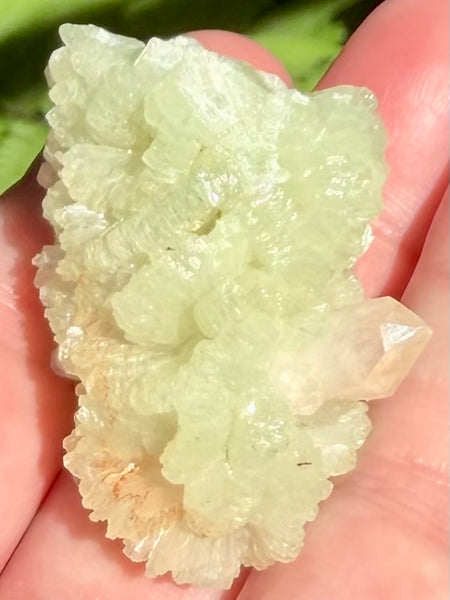 Prehnite Cluster