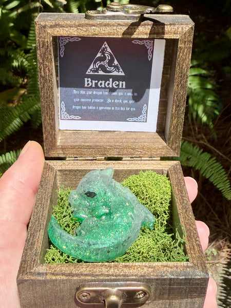 “Braden” Dragon Protector