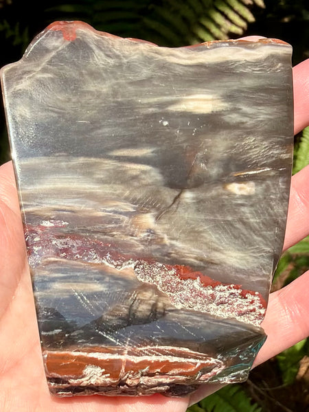 Gorgeous Cherry Creek Jasper Plate