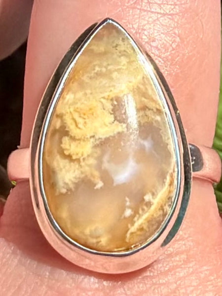 Graveyard Plume Agate Ring Size 10 - Morganna’s Treasures