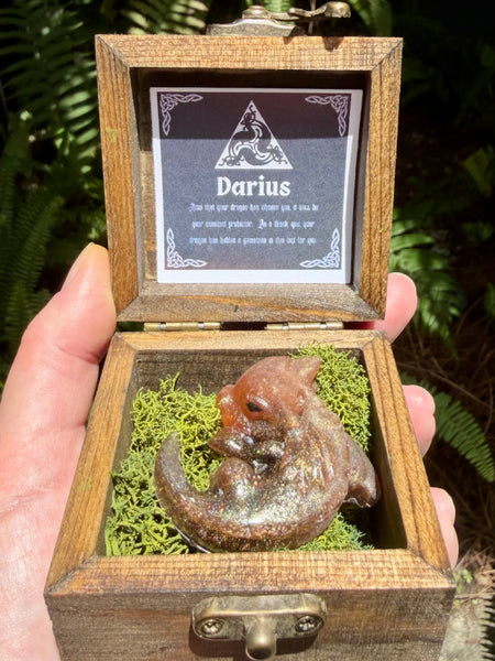 “Darius” Dragon Protector