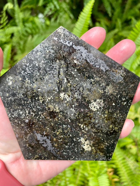 Nuummite Pentagon Charging Plate - Morganna’s Treasures