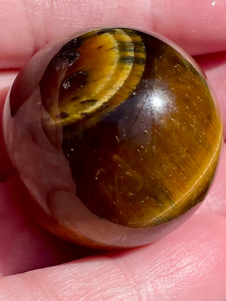 Tigers Eye Sphere - Morganna’s Treasures 