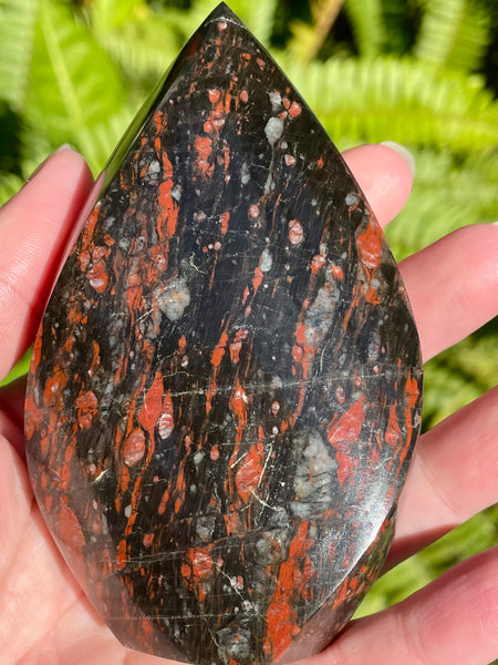 Rare Black Tourmaline with Red Hematite Flame - Morganna’s Treasures 
