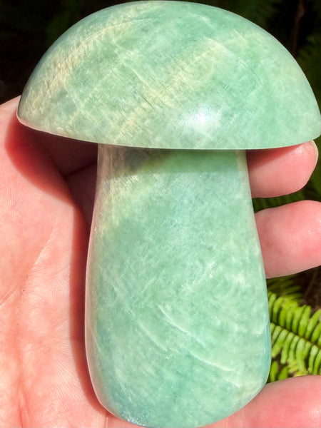 Stunning Amazonite Mushroom - Morganna’s Treasures