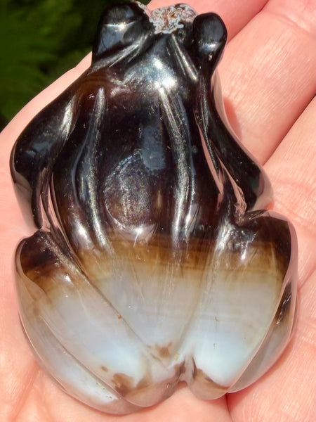 Botswana Agate Frog - Morganna’s Treasures