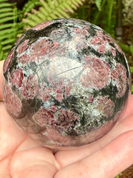 Large Garnet in Astrophyllite Sphere