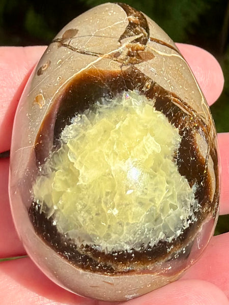 Septarian (Dragon Stone) Egg - Morganna’s Treasures