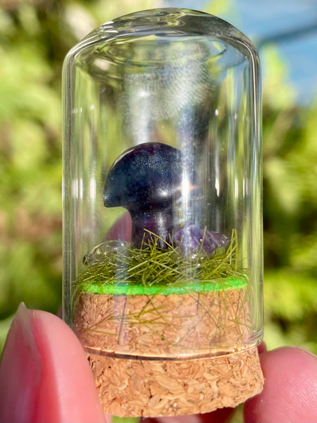 Fluorite Mushroom Terrarium