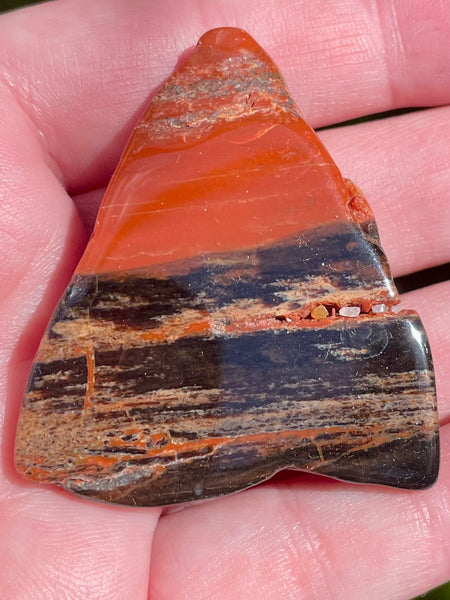 Petrified Wood Palm Stone - Morganna’s Treasures