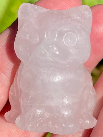 Rose Quartz Carved Cat - Morganna’s Treasures 