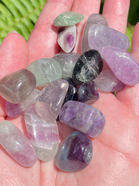 Small Rainbow Fluorite Tumbled Stones - Morganna’s Treasures 