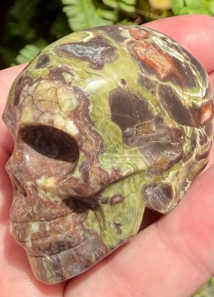 Money Agate Skull - Morganna’s Treasures