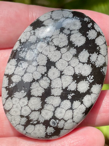 Snowflake Obsidian Palm Stone - Morganna’s Treasures