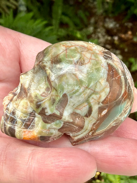 Money Agate Skull