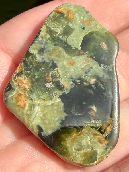 Rainforest Jasper Palm Stone