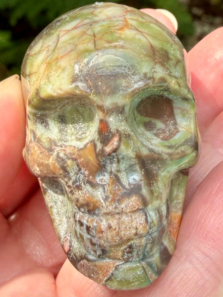 Money Agate Skull