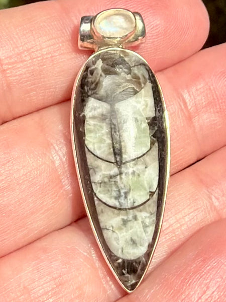Gorgeous Orthoceras Fossil and Rainbow Moonstone Pendant - Morganna’s Treasures