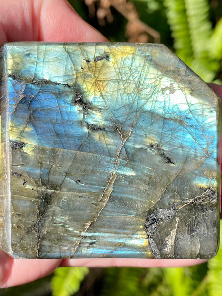 Labradorite Slab - Morganna’s Treasures